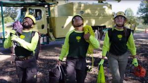 Tree trimming companies near me
