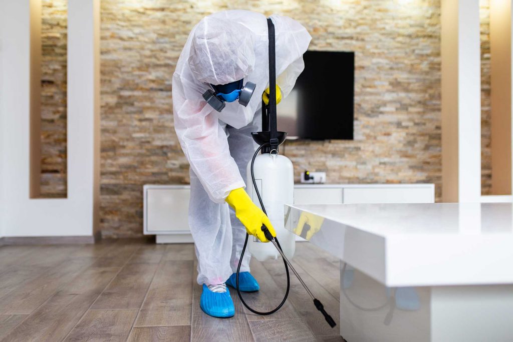 pest control company in Regina